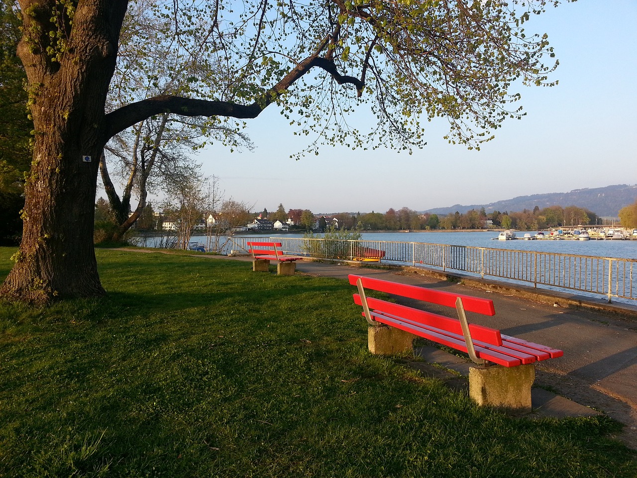 前NV自由人转战WBG后状态下滑引热议