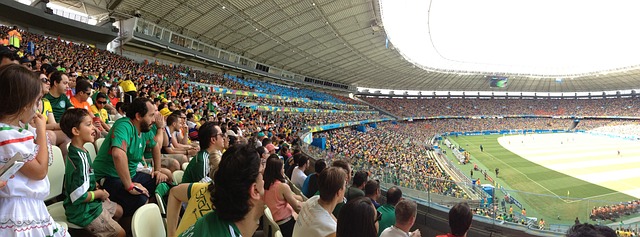 其平台和训