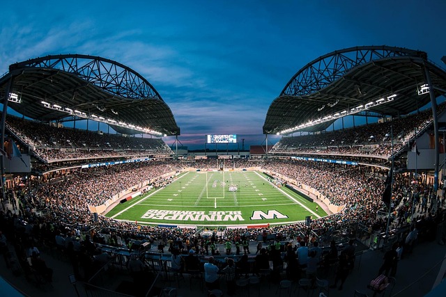 因此被冠以 因此被冠以