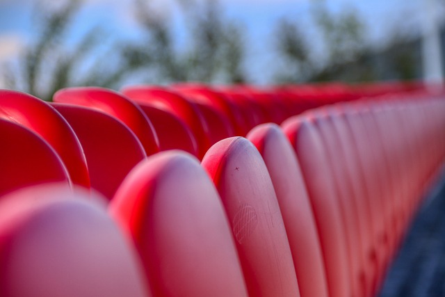 球队的整体 球队的整体