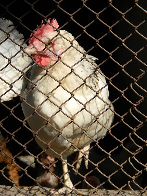 彰显了运动 彰显了运动