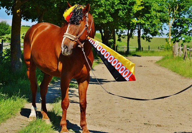 训练中保持 训练中保持