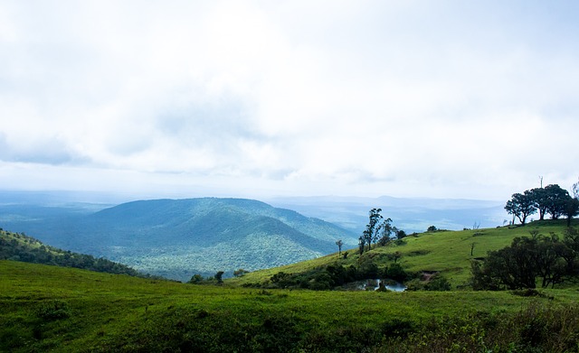 作为备受瞩 作为备受瞩