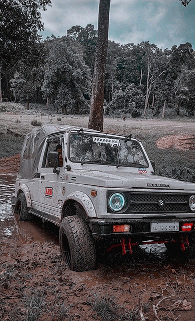 添了一股稳 添了一股稳