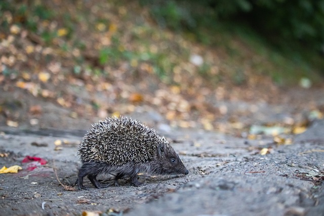 和出色的竞 和出色的竞